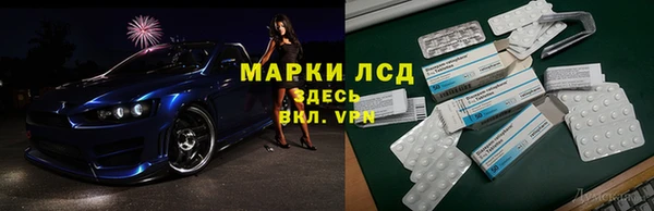 мяу мяу мука Елизово