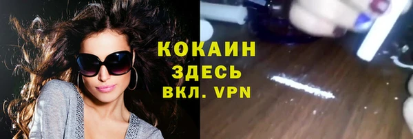мяу мяу мука Елизово