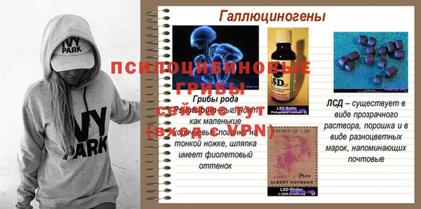 мяу мяу мука Елизово