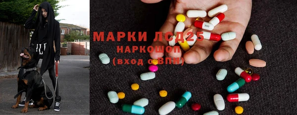 мяу мяу мука Елизово