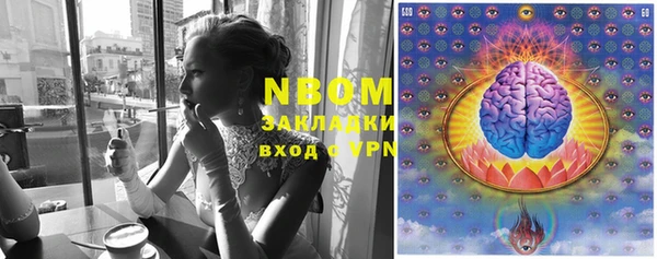 мяу мяу мука Елизово