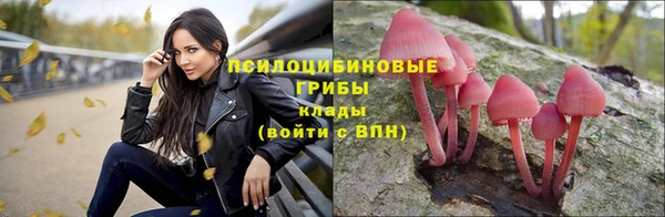 тгк Елабуга