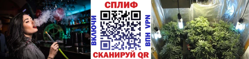 Бошки марихуана семена  Купить  Камызяк 